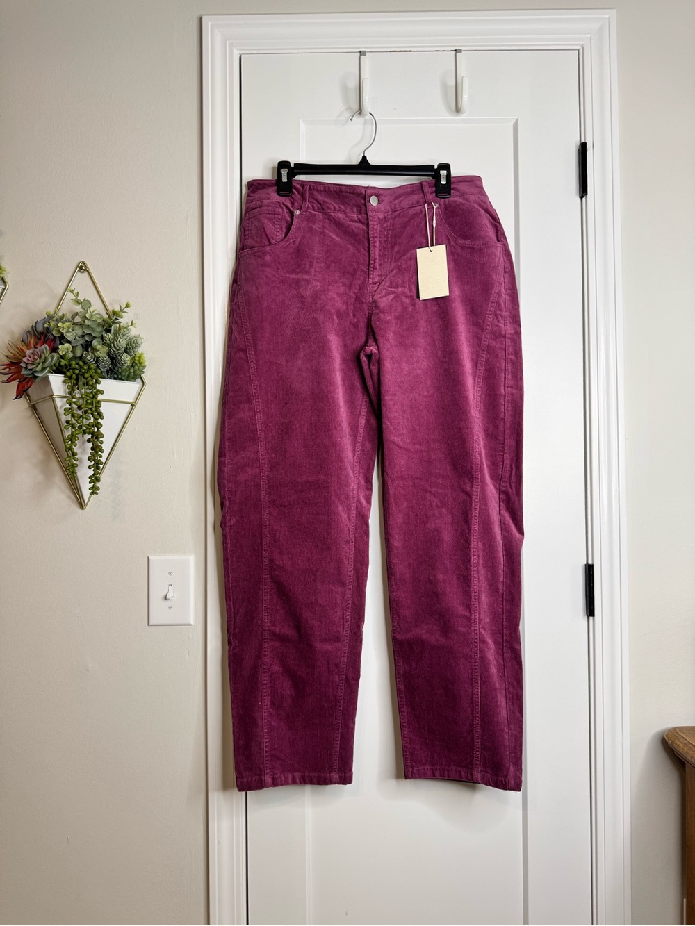 Flamingals Plum Cordury Barrel Pants